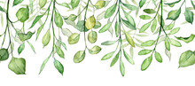 Seamless Long Banner With Hanging Green Leaves On Twigs. Hand Painted Watercolor Botany Detailed Plants On White Background. High Quality Botanical Header
