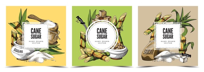 Wall Mural - Cane sugar decorative colorful backgrounds set of vintage vector illustrations.