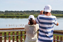 A Man And A Woman Observe And Photograph Pelicans In The Lake From The Observation Deck. Back View