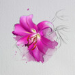A lily flower in a delicate pink color, the color of innocence. Watercolor illustration, with sketch elements