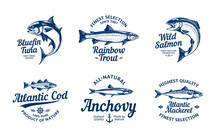 Vector Fish Vintage Logo And Fish Illustrations For Groceries, Fisheries, Packaging And Advertising