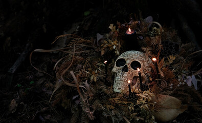 Wall Mural - human skull, candles, dry leaves on dark background. magic esoteric ritual. Mysticism, divination, wicca, occultism, Witchcraft concept. symbol of samhain sabbat, Halloween