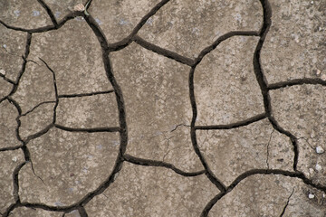 Canvas Print - Climate change, due to the drought, the soil has been torn