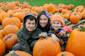 outdoor fall portrait of three happy young siblings in pumpkin patch smiling looking at camera