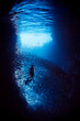 Free Diver Swimming In A Cave with a School of Fish