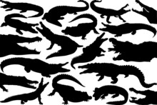 Crocodile SVG Cut Files | Crocodile Silhouette | Caiman Svg | Cayman Animal Svg | Animal Svg | Crocodile Bundle
