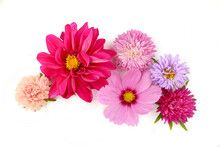 Mixed Garden Flowers Isolated On White Background. Colorful Blossom Of Dahlia Mignon, Aster, Cosmos Flowers, View Top.