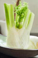 Sticker - Fennel in plate ready for cooking in the kitchen