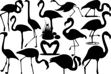 Flamingo SVG Cut Files | Flamingo Silhouette | Flamingo Bird Svg | Flamingo Beach Svg | Safari Flamingo Svg Cut File | Flamingo Bundle