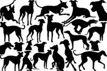 Greyhound Dog SVG Cut Files | Greyhound Dog Silhouette |  Greyhound Svg | Dog Svg | Greyhound Roaching | Greyhound Dog Bundle
