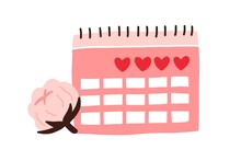 Menstrual Calendar For Menstruation Control And Pregnancy Planning. Period Schedule With Marked Days For Woman And Girl. Women Cycle And PMS Tracker. Flat Vector Illustration Isolated On White