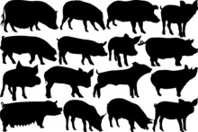 Pig SVG Cut Files | Pig Silhouette | Pig Svg | Hog Svg | Pig Head Svg | Sow Svg | Swine Svg | Pig Bundle