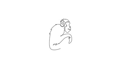 Poster - Animation of one line drawing of cute sitting chimpanzee for company business logo. Adorable primate chimp animal concept for corporate icon. Continuous line self draw animated. Full length motion.