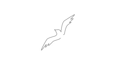 Poster - Animated self drawing of one continuous line draw luxury swallow for company logo identity. Cute bird mascot concept for organic food symbol. Full length single line animation illustration.
