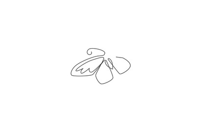 Poster - Animation of one line drawing of beautiful butterfly for company logo. Salon, spa healthcare business icon concept from cute animal shape. Continuous line self draw animated. Full length motion.