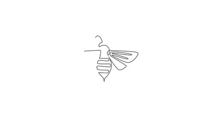 Poster - Animated self drawing of one continuous line draw elegant bee for company logo identity. Organic honey farm icon concept from wasp insect animal shape. Full length single line animation illustration.