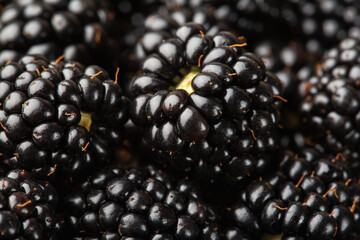 Wall Mural - Blackberries background. Closeup ripe blackberries macro shot	