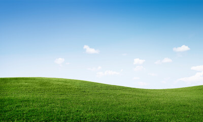 grassy plains with a cloudy sky
