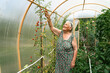 Very old woman working in her garden in summer. Grandmother stays in the greenhouse and grows tomatoes. Hobbies for the elderly concept.