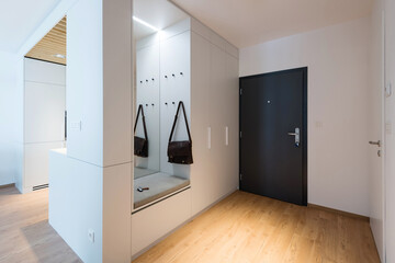 Hallway with closet in modern apartment