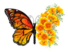 Flower Butterfly With Yellow California Poppy