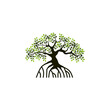 tree and roots vector illustrations, mangrove tree