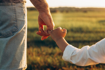 Father's and his son holding hands at sunset field. Dad leading son over summer nature outdoor. Family, trust, protecting, care, parenting concept