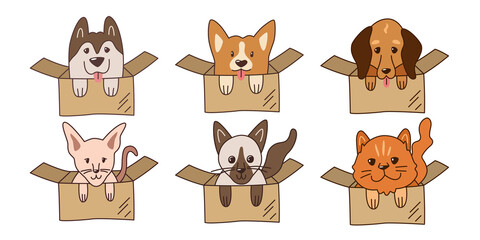  Set of cute kawaii pets in cardboard boxes. Different breeds of dogs and cats. Simple illustration for logo, emblem, sticker, label. Shelter for stray animals, vet clinic, pet store, delivery service.