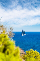 Wall Mural - Selective focus, stunning view of a sailboat sailing during a Maxi Yacht competition in Porto Cervo, Sardinia, Italy.