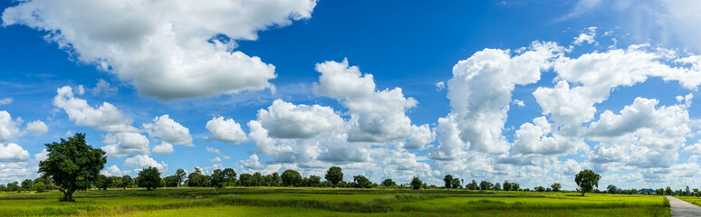 Wall Mural - Panorama photos nature sky background daytime sky with clouds in the rainy season over the field