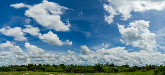 Wall Mural - Panorama image, Blue sky and wispy white clouds on a sunny day over the fields.
