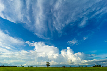 Wall Mural - Panorama photos nature sky background daytime sky with clouds in the rainy season over the field