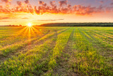 Fototapeta Natura - Scenic view at beautiful spring sunset in a green shiny field with green grass and golden sun rays, deep blue cloudy sky on a background , forest and country road, summer valley landscape