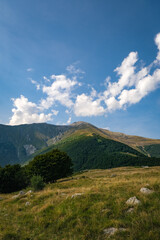 Sticker - Beautiful view from the hill and a sunny blue sky