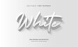 White 3D Luxury Emboss Editable Text Effect, Editable Font Style Theme