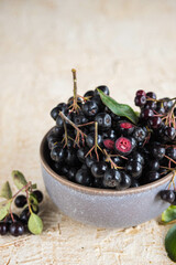 Wall Mural - Fresh chokeberry in a brown clay bowl on a light sandy concrete background.