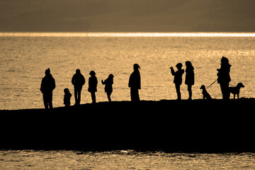 Canvas Print - Beautiful view of a group of people with the dogs standing near the water during sunset