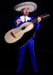 guitarron mariachi