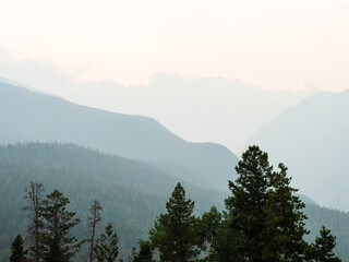  Nature landscape with pine trees in the foreground of the Rocky Mountains. Blue geometric rolling hills.