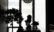 © Scopio - Silhouette of woman in dining room