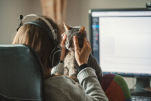 Woman Petting Her Cat While Working On Desktop Computer