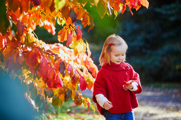 Wall Mural - Adorable toddler girl playing in autumn park