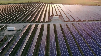 Wall Mural - Aerial view of solar farm. Drone flies over rows of solar panels at sunset. Glare from sun reflects off surface of panels.