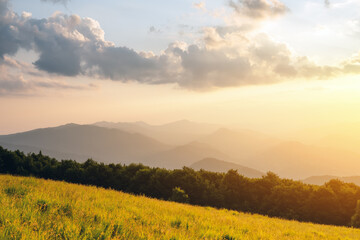 Wall Mural - Amazing scene in summer mountains. Lush green grassy meadows in fantastic evening sunlight. Carpathians, Europe. Landscape photography