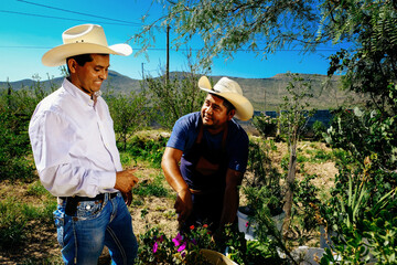 Smiling male customer and florist wearing hats while talking organic at garden during sunny day