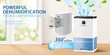 Air purify dehumidifier ad template