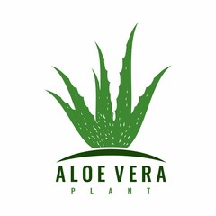 Wall Mural - aloe vera plant logo design vector