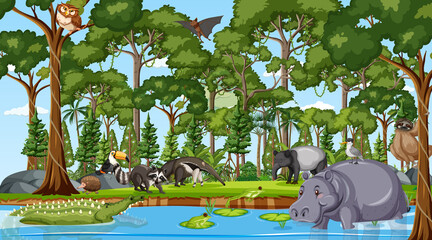 Wall Mural - Forest at daytime scene with many different wild animals