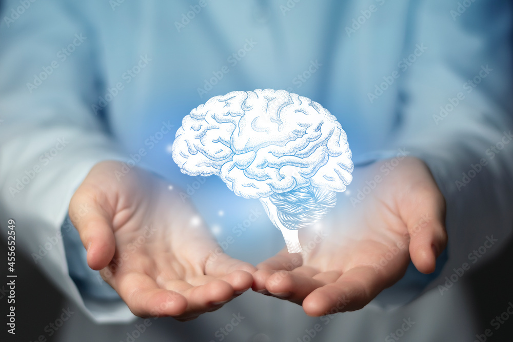 Neurologist doctor, brain specialist. Aesthetic handdrawn highlighted  illustration of human brain. Neutral grey background, studio photo and  collage. Stock Photo | Adobe Stock