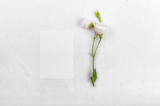 Vertical 5x3,5 empty card mockup with blooming white eustoma lisianthus flowers, design element for wedding invitation, thank you or greeting card. Spring background